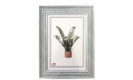 ΚΟΡΝΙΖΑ NATURE 10X15εκ - Image 3