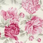 ΡΟΛΟ ΤΡΑΠΕΖΟΜΑΝΤΗΛΟ ΑΚΑΥΣΤΟ ΑΛΕΚΙΑΣΤΟ 05