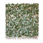 ΦΥΛΛΩΣΙΑ ΠΕΡΓΚΟΛΑ 1Χ2Μ